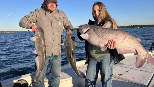 Trophy Cats Deep on the Drift